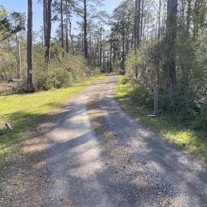 Photo #39 of 178 Mill Point Lane, Williston, NC 42.6 acres