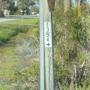 Photo #36 of 178 Mill Point Lane, Williston, NC 42.6 acres