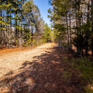 Photo #13 of SOLD property in 1528 Bertha Drive, Creedmoor, NC 5.1 acres