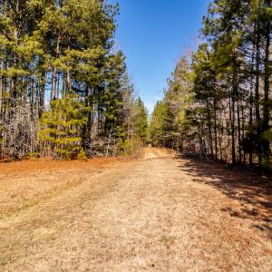 Photo #14 of SOLD property in 1528 Bertha Drive, Creedmoor, NC 5.1 acres