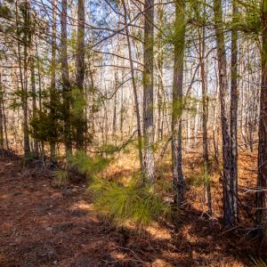 Photo #13 of SOLD property in 1530 Bertha Drive, Creedmoor, NC 5.1 acres