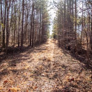 Photo #19 of SOLD property in 1530 Bertha Drive, Creedmoor, NC 5.1 acres