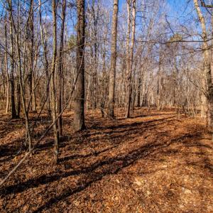 Photo #22 of SOLD property in 1530 Bertha Drive, Creedmoor, NC 5.1 acres