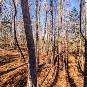 Photo #24 of SOLD property in 1530 Bertha Drive, Creedmoor, NC 5.1 acres