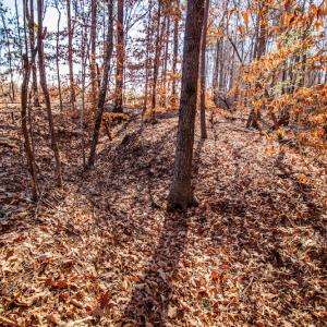 Photo #25 of SOLD property in 1530 Bertha Drive, Creedmoor, NC 5.1 acres