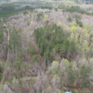 Photo #10 of SOLD property in Off Sutherland Road, Sutherland, VA 10.0 acres