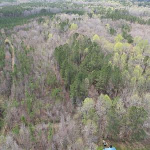 Photo #10 of SOLD property in Off Sutherland Road, Sutherland, VA 10.0 acres