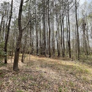 Photo #11 of SOLD property in Off Sutherland Road, Sutherland, VA 10.0 acres