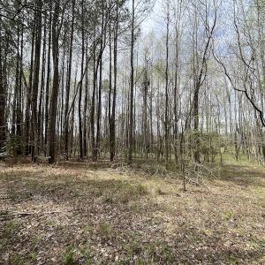 Photo #12 of SOLD property in Off Sutherland Road, Sutherland, VA 10.0 acres