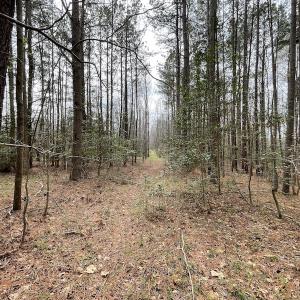 Photo #13 of SOLD property in Off Sutherland Road, Sutherland, VA 10.0 acres
