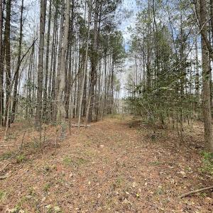 Photo #14 of SOLD property in Off Sutherland Road, Sutherland, VA 10.0 acres