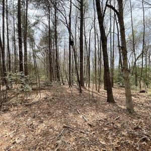 Photo #15 of SOLD property in Off Sutherland Road, Sutherland, VA 10.0 acres