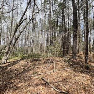 Photo #16 of SOLD property in Off Sutherland Road, Sutherland, VA 10.0 acres