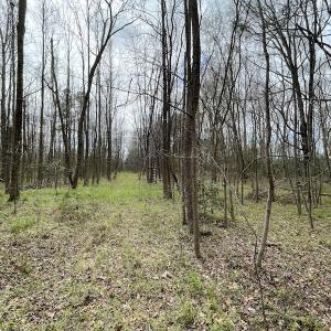 Photo #17 of SOLD property in Off Sutherland Road, Sutherland, VA 10.0 acres