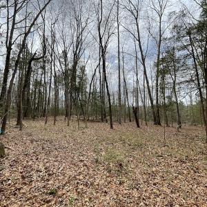 Photo #18 of SOLD property in Off Sutherland Road, Sutherland, VA 10.0 acres
