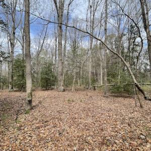 Photo #19 of SOLD property in Off Sutherland Road, Sutherland, VA 10.0 acres