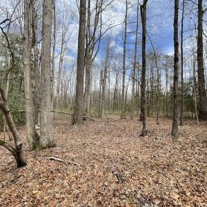 Photo #20 of SOLD property in Off Sutherland Road, Sutherland, VA 10.0 acres