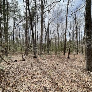 Photo #21 of SOLD property in Off Sutherland Road, Sutherland, VA 10.0 acres