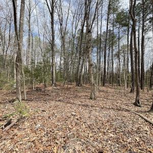 Photo #22 of SOLD property in Off Sutherland Road, Sutherland, VA 10.0 acres