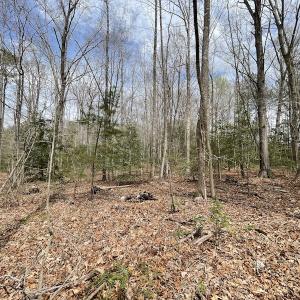 Photo #23 of SOLD property in Off Sutherland Road, Sutherland, VA 10.0 acres