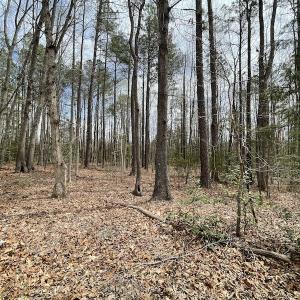 Photo #24 of SOLD property in Off Sutherland Road, Sutherland, VA 10.0 acres
