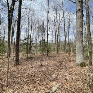 Photo #25 of SOLD property in Off Sutherland Road, Sutherland, VA 10.0 acres