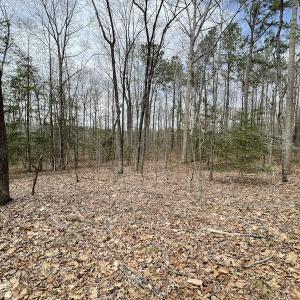 Photo #28 of SOLD property in Off Sutherland Road, Sutherland, VA 10.0 acres