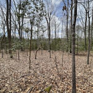 Photo #29 of SOLD property in Off Sutherland Road, Sutherland, VA 10.0 acres