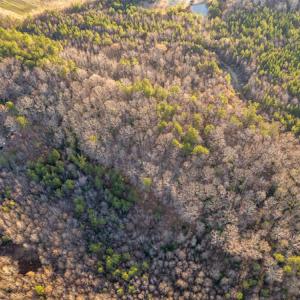 Photo #3 of SOLD property in Off Sutherland Road, Sutherland, VA 10.0 acres