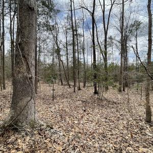 Photo #30 of SOLD property in Off Sutherland Road, Sutherland, VA 10.0 acres