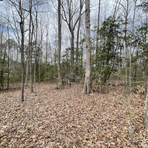 Photo #31 of SOLD property in Off Sutherland Road, Sutherland, VA 10.0 acres