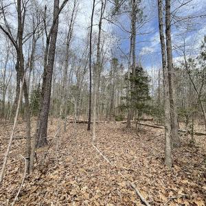 Photo #32 of SOLD property in Off Sutherland Road, Sutherland, VA 10.0 acres