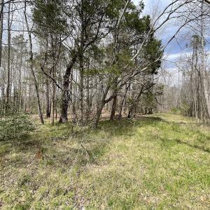 Photo #33 of SOLD property in Off Sutherland Road, Sutherland, VA 10.0 acres