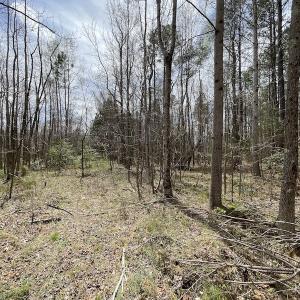 Photo #34 of SOLD property in Off Sutherland Road, Sutherland, VA 10.0 acres