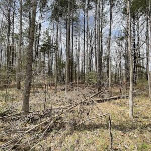 Photo #35 of SOLD property in Off Sutherland Road, Sutherland, VA 10.0 acres