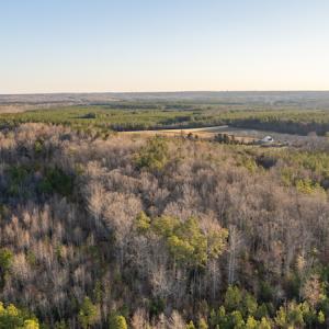 Photo #4 of SOLD property in Off Sutherland Road, Sutherland, VA 10.0 acres