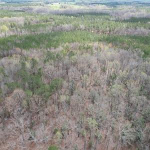 Photo #5 of SOLD property in Off Sutherland Road, Sutherland, VA 10.0 acres