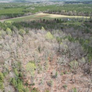 Photo #6 of SOLD property in Off Sutherland Road, Sutherland, VA 10.0 acres