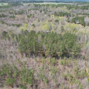 Photo #7 of SOLD property in Off Sutherland Road, Sutherland, VA 10.0 acres