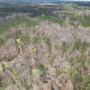 Photo #8 of SOLD property in Off Sutherland Road, Sutherland, VA 10.0 acres