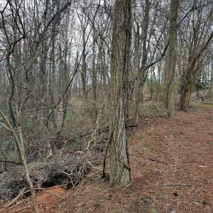 Photo #7 of SOLD property in Off Cedar Crest Drive, Madison Heights, VA 3.9 acres
