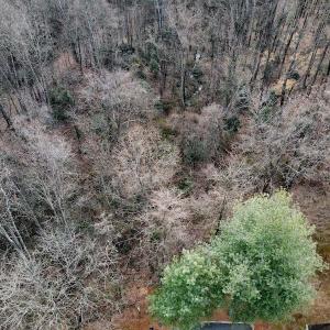 Photo #16 of SOLD property in Off Cedar Crest Drive, Madison Heights, VA 3.9 acres