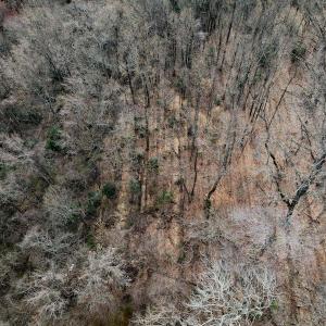 Photo #17 of SOLD property in Off Cedar Crest Drive, Madison Heights, VA 3.9 acres