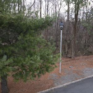 Photo #18 of SOLD property in Off Cedar Crest Drive, Madison Heights, VA 3.9 acres
