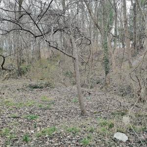 Photo #8 of SOLD property in Off Cedar Crest Drive, Madison Heights, VA 3.9 acres