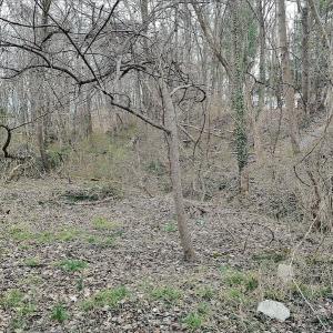 Photo #8 of SOLD property in Off Cedar Crest Drive, Madison Heights, VA 3.9 acres