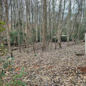 Photo #10 of SOLD property in Off Cedar Crest Drive, Madison Heights, VA 3.9 acres