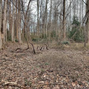 Photo #13 of SOLD property in Off Cedar Crest Drive, Madison Heights, VA 3.9 acres