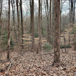 Photo #14 of SOLD property in Off Cedar Crest Drive, Madison Heights, VA 3.9 acres
