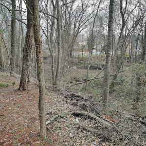 Photo #15 of SOLD property in Off Cedar Crest Drive, Madison Heights, VA 3.9 acres